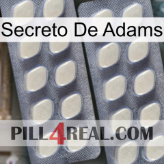 Adams Secret 07